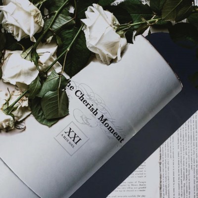 The Cherish Moment 21