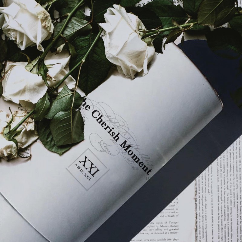 The Cherish Moment 21